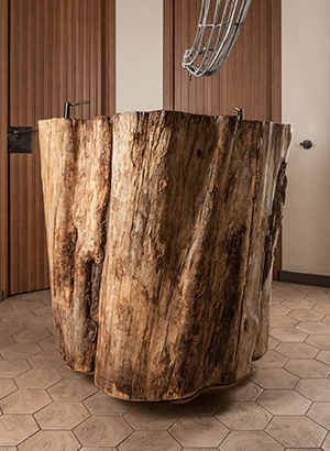 <strong>Stump<span><b>смотреть</b>Предметный дизайн</span></strong><i>→</i>